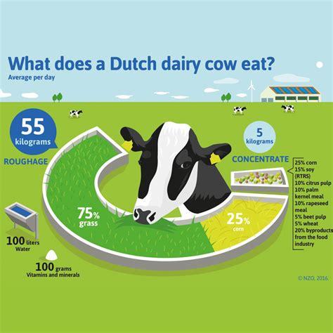 Dutch Dairy The First To Transition To 100 Responsible Soy De