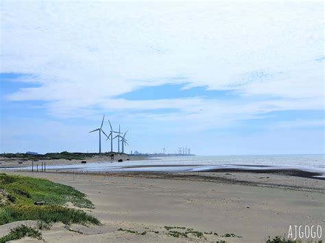 [旅遊] 大園 許厝港濕地 海岸型濕地、賞野鳥 Ptt評價