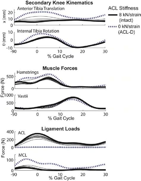 Secondary tibiofemoral kinematics, muscle forces and ligament loads ...