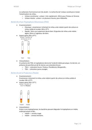 Les Milieux De Culture En Bact Riologie Pdf