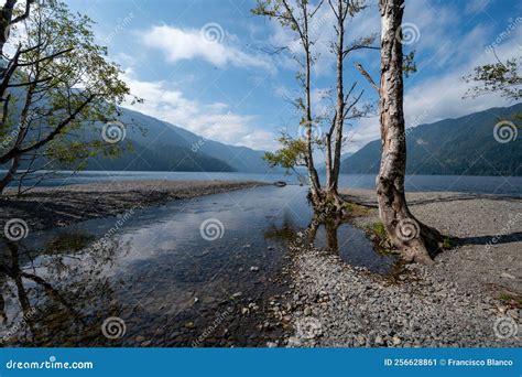 Lake Crescent In Olympic National Park Washington Stock Image Image