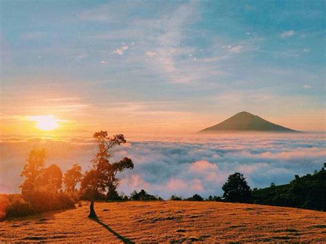 Tempat Wisata Alam Di Garut Dengan Pesona Keindahan Yang Sulit