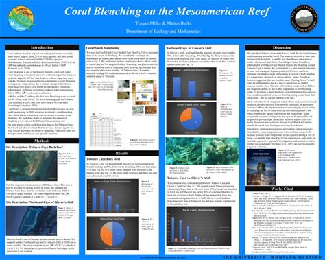 (PDF) Coral Bleaching on the Mesoamerican Reef