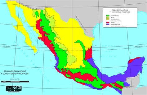 Image Gallery of Las Regiones Naturales De Mexico Para Colorear | Mapa De Las Regiones Naturales ...