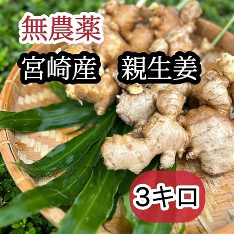 Yahooオークション 【無農薬】宮崎産 親生姜（古生姜） 3kg