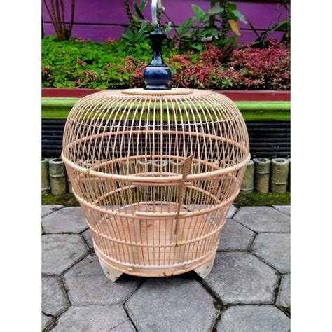 Jual Sangkar Burung Derkuku Puter Sabuk Rotan Jeruji Bambu Pion Besar