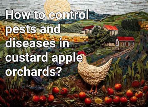 How to control pests and diseases in custard apple orchards ...