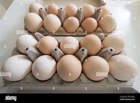 Organic Fresh Chicken Table Eggs Wojciech Strozyk Alamy Stock Photo