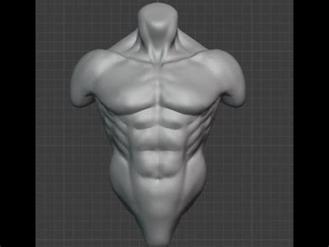 Hagamos Un Torso Parte Anatom A Del Frente Del Torso Blender