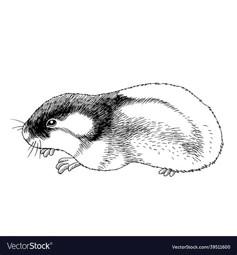 How To Draw A Lemming