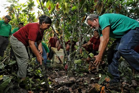 Vraem Devida impulsa desarrollo agrario con entrega de más de 40