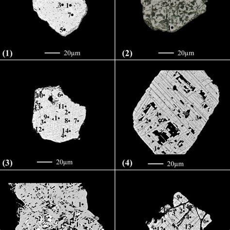 BSE Images Of Various Ferromagnetic Titanhematite Grains They Are Most