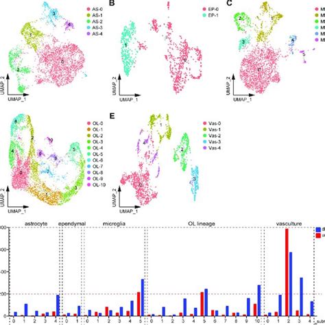 Identify Cell Subtypes And Their Degs A E Analysis Of Cell Subtypes Download Scientific