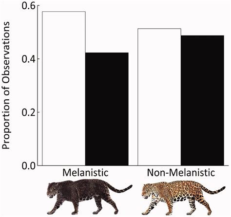 Natural Selection of Melanism in Costa Rican Jaguar and Oncilla: A Test ...