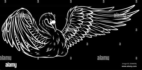 Silueta Swan Ilustraci N Vectorial De Un Cisne Dibujado A Mano Imagen