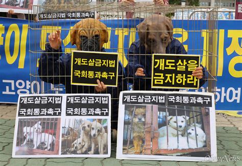 영상 동물보호단체 개식용은 없어져야 할 악습