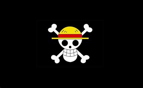 Straw Hat Logo, straw hats HD wallpaper | Pxfuel