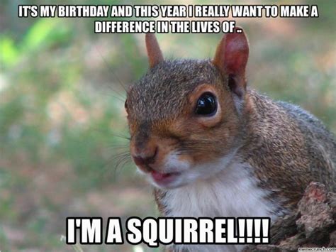 Squirrel Happy Birthday Meme Squirrel | BirthdayBuzz