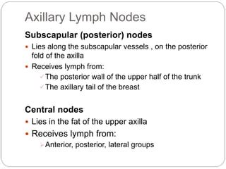 AXILLARY LYMPH NODES.pptx