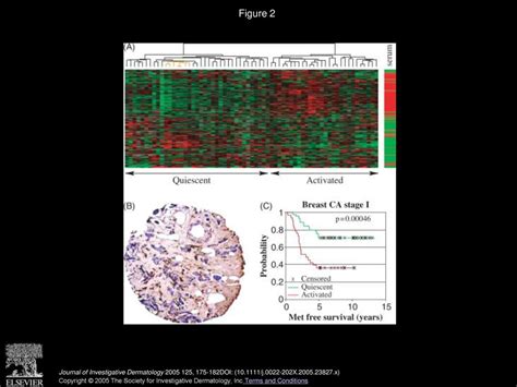 Learning More From Microarrays Insights From Modules And Networks