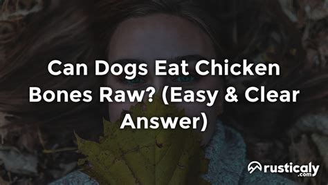 Can Dogs Eat Chicken Bones Raw Explanation Inside