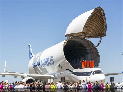 The Airbus Beluga XL cargo plane with its cargo door open : HumansForScale