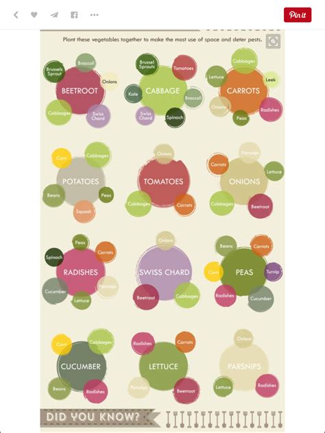 22 Garden Layout ideas | veggie garden, garden planning, backyard garden