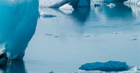 Glaciers On the Arctic Sea · Free Stock Photo