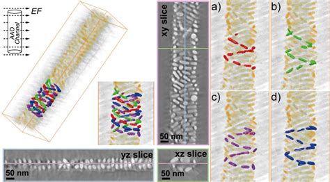 Figure 4 From Electric Field Assisted Assembly Of Polymer Tethered Gold