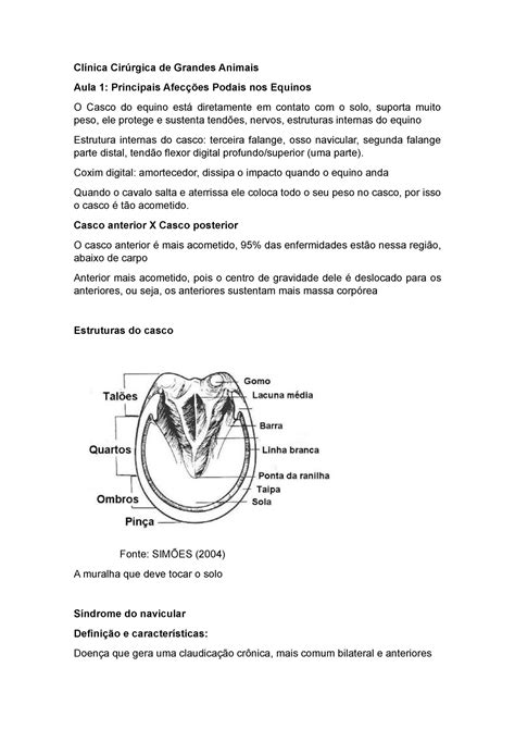 Clínica Cirúrgica de Grandes Animais Equinos Clínica Cirúrgica de