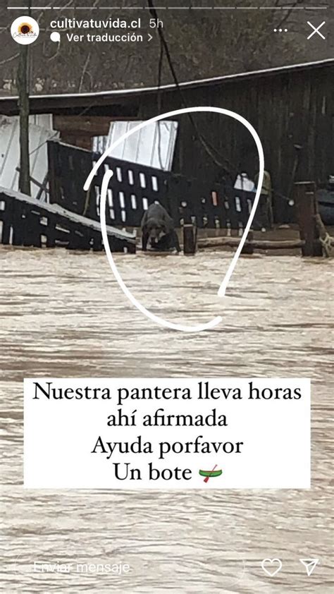 𝑲𝒂𝒓𝒊𝒏𝒂 on Twitter SALTO DEL LAJA Por favor difundir para que puedan