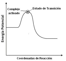 Teor A Del Estado De Transici N O Complejo Activado La Gu A De Qu Mica