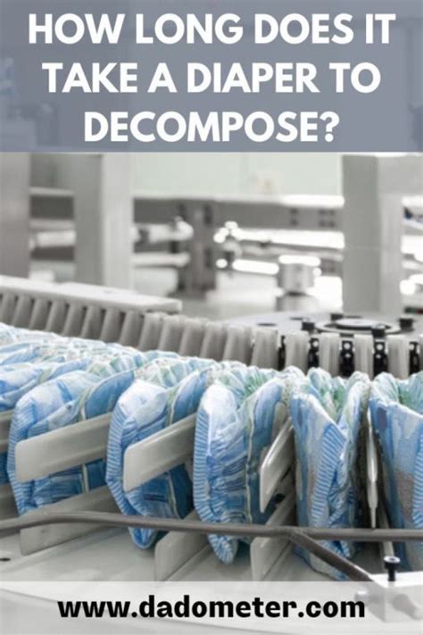how long does a diaper take to decompose