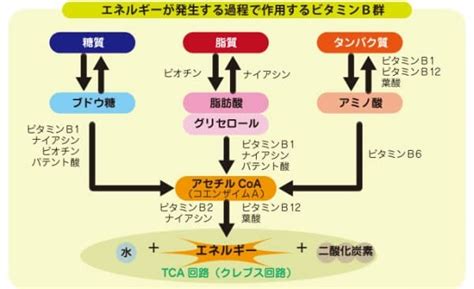 エネルギーを生み出すために – 株式会社コダマ