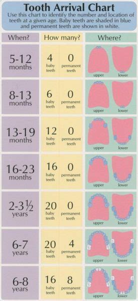 How To Make Teething More Comfortable For Your Baby Toots Mom Is Tired