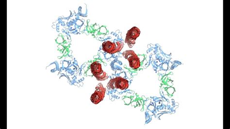 Structural Overview Of Chemosensory Array Youtube