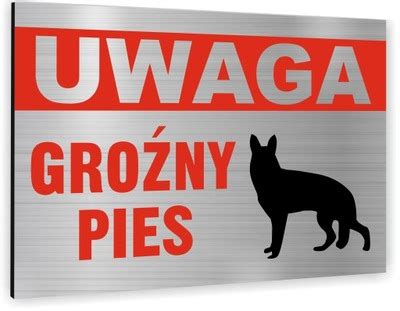 TABLICZKA ZŁY GROŻNY PIES tablica brama płot znak 12307681586