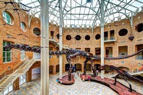 Fernbank Museum of Natural History: Home to the Largest Dinosaur