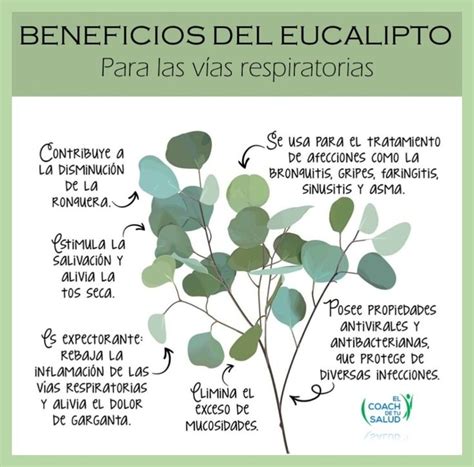 Spanish Herbs For Health