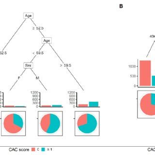 Classification And Regression Tree Cart For Predicting Coronary