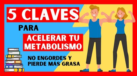 Como ACELERAR el METABOLISMO Guía completa YouTube