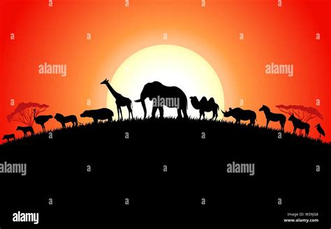 Set of african animals silhouette on sunset Stock Vector Image & Art ...