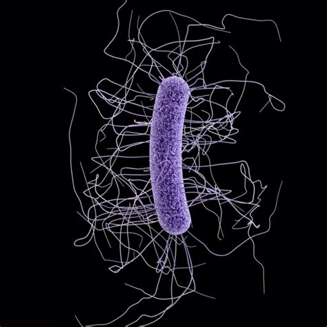 Podcast #115: Clostridium Difficile - The Emergency Medical Minute