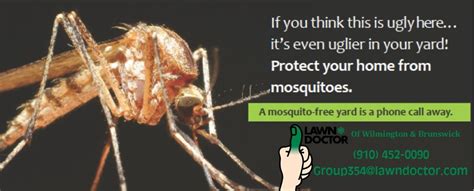 Mosquito Control Special!