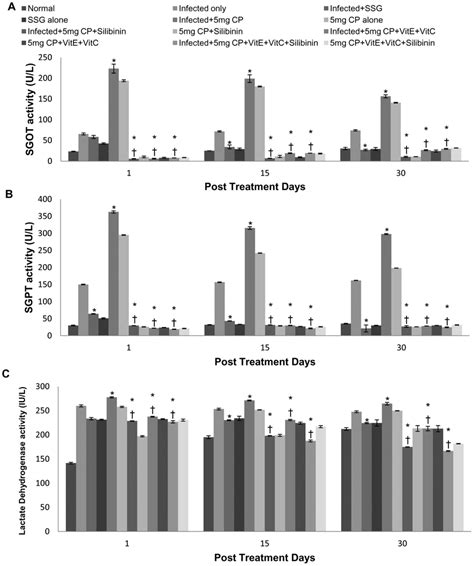 Sgot Sgpt And Ldh Activity In Serum Samples Of Different Groups Of