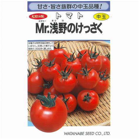 【楽天市場】【トマト】mr浅野のけっさく（ミスターあさののけっさくトマト）〔松島交配〕小袋：野菜のタネのお買い物 太田のタネ