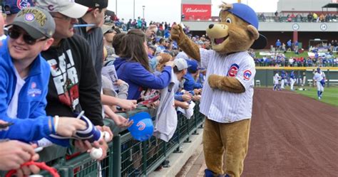 Clark The Cub Ranked Top Mascot In Mlb Cubshq