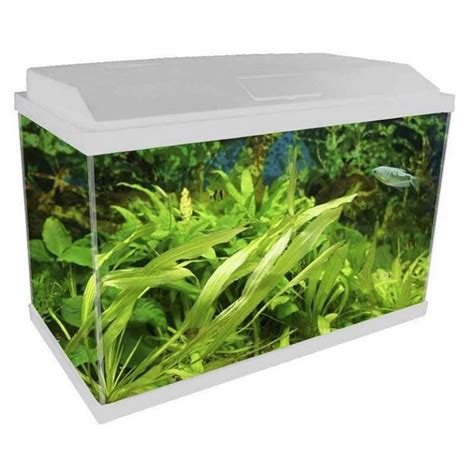 Folija Za Ribnik Zelena 15 Letna Garancija Aquarium Lesce