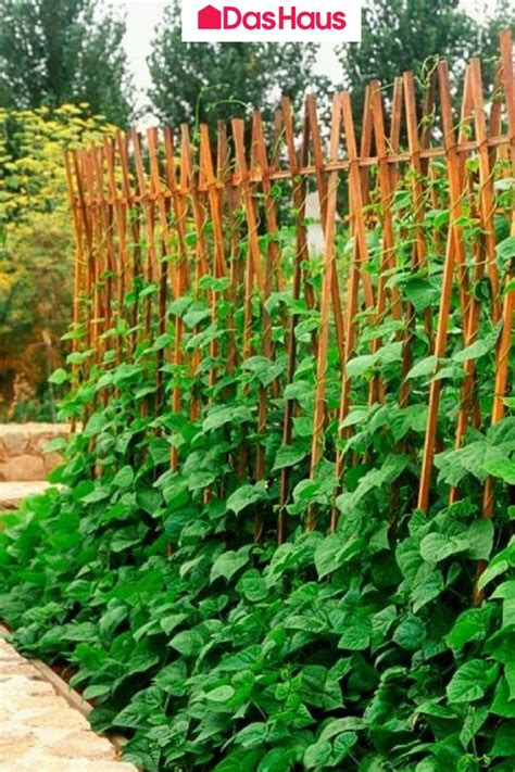 Rankhilfen 10 Ideen für Garten Balkon und Co Rankhilfe Rankgerüst