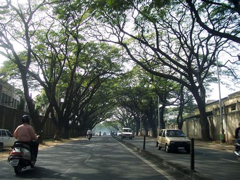 Bangalore Daily Photo: Old Airport Road..